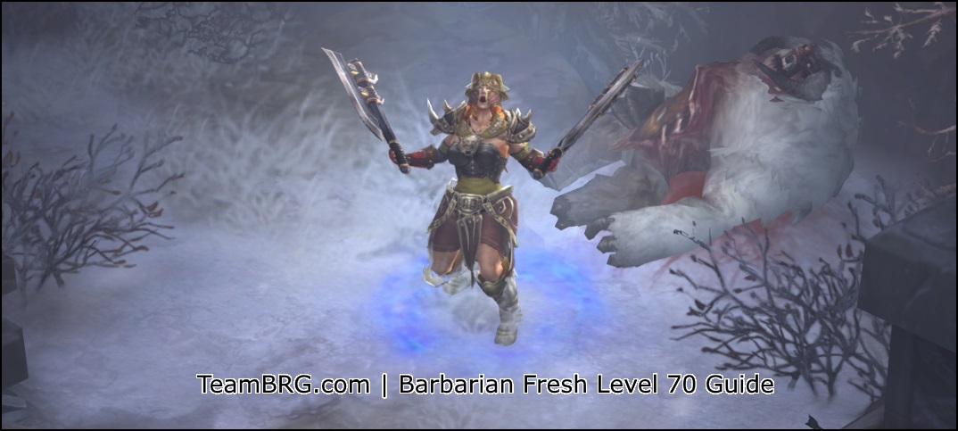 diablo 3 barbarian why the immortal king set doesn